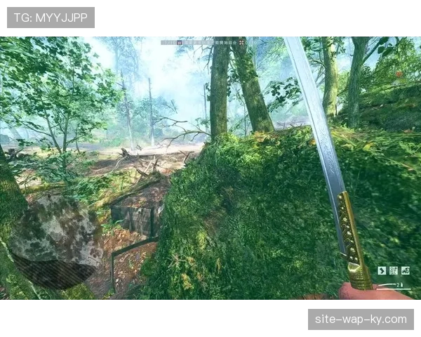 森林进攻起始距离39.6米 深度防守反击战术显成效