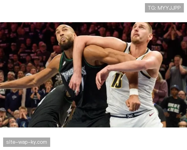 戈贝尔末节锁死约基奇，连续防下6次单打展现DPOY价值